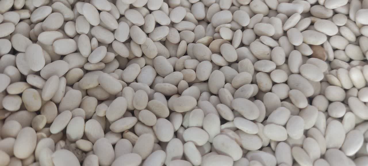 لوبیا سفید بسته بندی شده 900 گرمی
