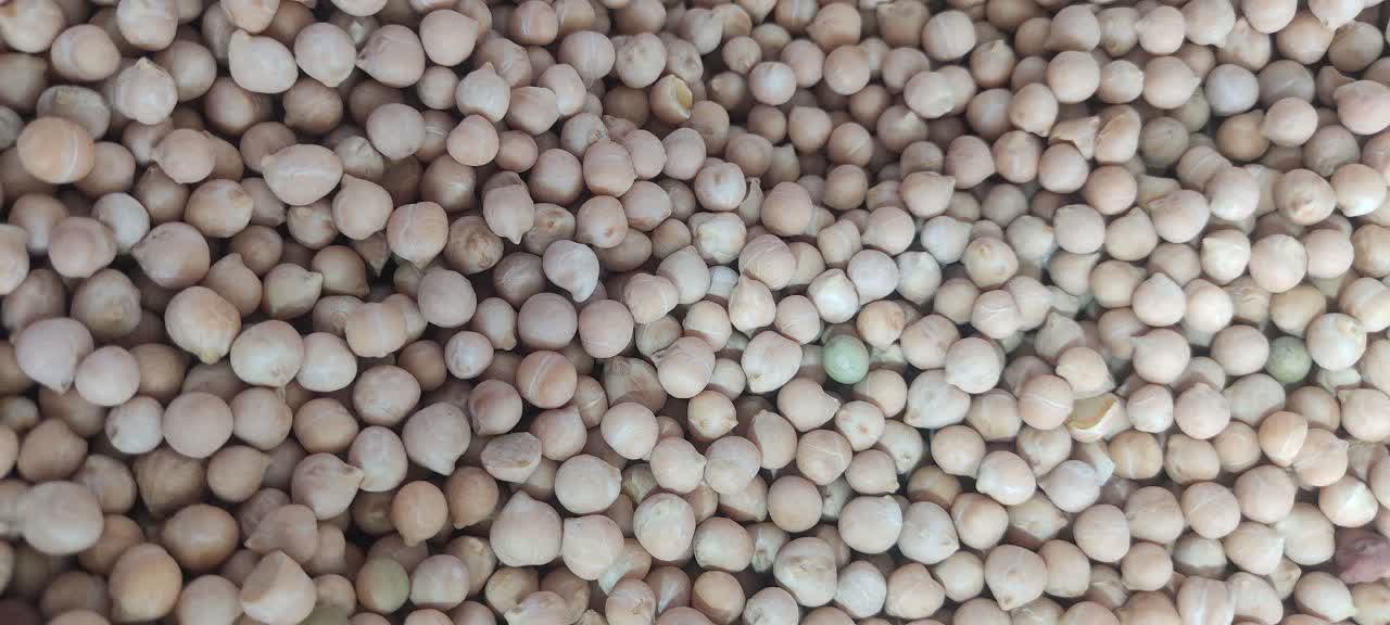 نخود ریز بسته بندی شده 900 گرمی